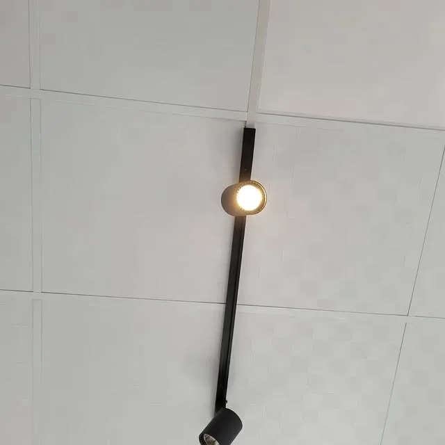 386459614_1289311665056927_1309531990556269544_n.