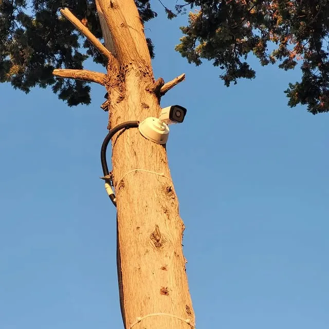 391430017_786546623272944_7061619067846258138_n.